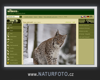 Fotografie - Naturfoto.cz
